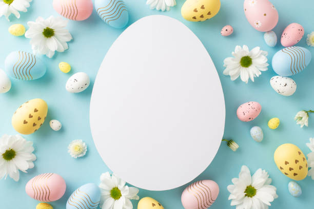 istock Easter setting idea: Overhead view of various eggs, and chamomile shoots on a tranquil blue surface, with an open egg-shaped outline for messages or advertising 2096635801
