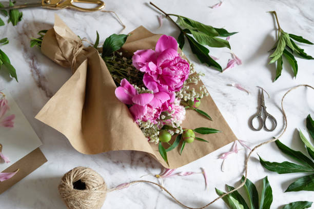 istock pink persian buttercup flowers in hands. Curly peony ranunculus. Empty spase 2096648557