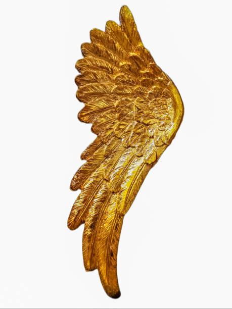 istock Golden Angel wing on a white background for protection and happiness 2096694329
