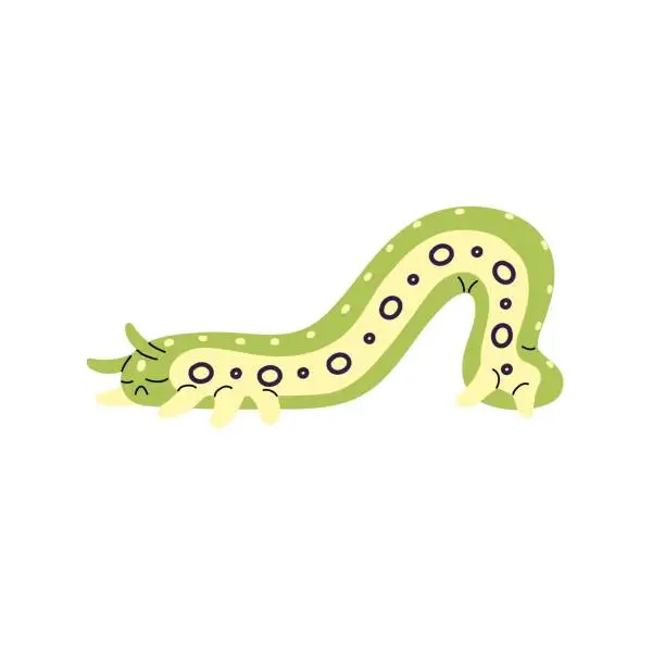 Vector illustration of Cute green centipede sleeps. Sad butterfly, moth larva relaxes. Tired caterpillar with patterned skin. Little colorful upset worm character. Flat isolated vector illustration on white background