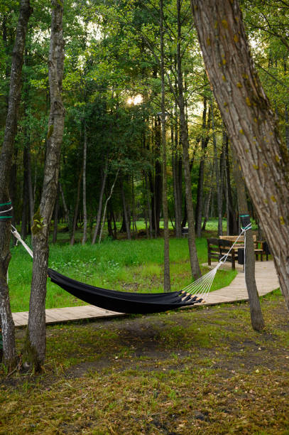 istock Stylish empty hammock attached to tree trunks. Holiday and vacation concept, rural tourism. Vertical 2096722316
