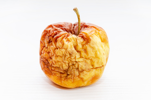 An old wrinkled flabby rotten apple on a white background