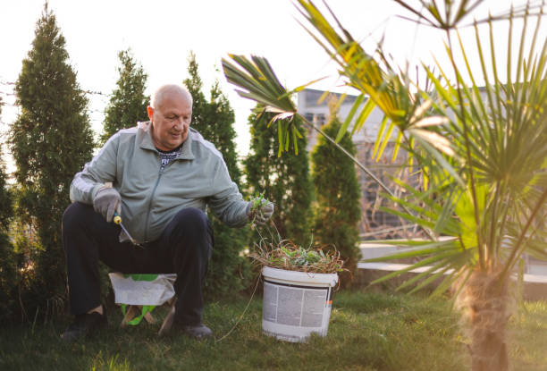 istock Senior Man Gardening 2096741795