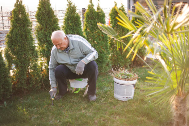 istock Senior Man Gardening 2096741810