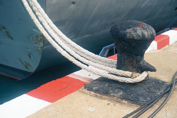 Mooring ropes that tie boats to the docks.