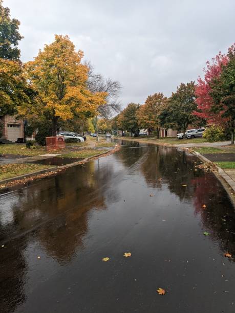 istock A street in the suburbs during fall 2096746149