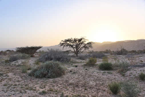 Wide panorama of Negev desert  with clouds at strong wind