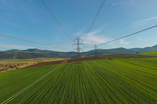 Electricity pylon on the green wheat field. Aerial view.