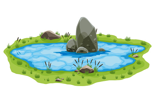 Picturesque natural pond. Concept of open small swamp lake. Water pond with reeds and stone. Natural countryside landscape. Multicolour game scene.