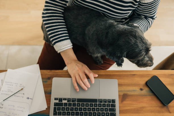 istock High angle view of an unrecognizable person working on the laptop 2096860843