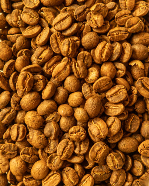 Brown and green coffee beans, one whole bean in center