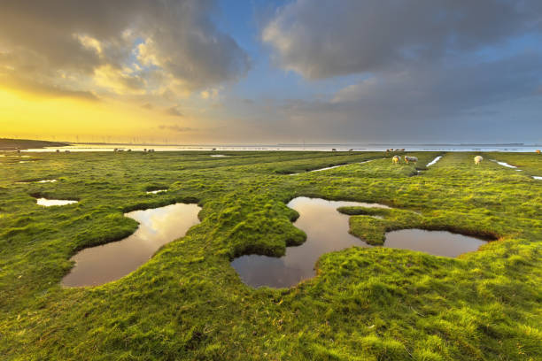 Dikes on the West Coast in Denmark for coastal protection