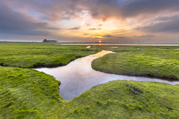 istock Land reclamation in mud flats on Dollard coast 2096897868