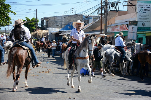 Liberia, Costa Rica, March 3, 2024: El Tope, the Costa Rican National Day of Horsesman had the streets of Liberia filled with hundreds of horses and riders doing intricate Spanish dance steps.