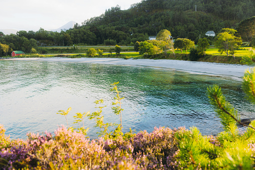 Beautiful small river at wasabi farm, in Azumino, Nagano