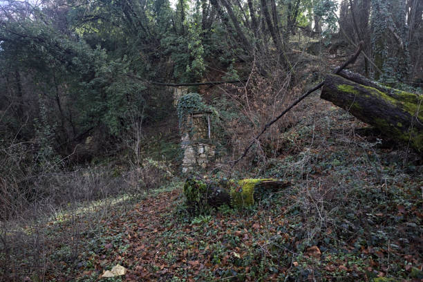 istock Remains of a stone hut 2096985795