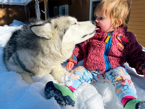 Baby with her dog in the deep California Snow