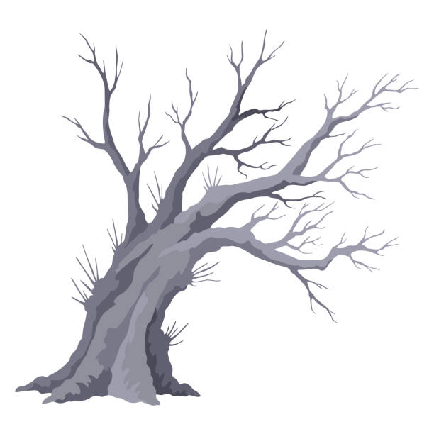 istock Old dead tree, rough spooky bark, dry naked branch silhouette. Vector scary forest, leafless trunk. Nature ecology problems concept. Winter or autumn season plants icon isolated 2097023240