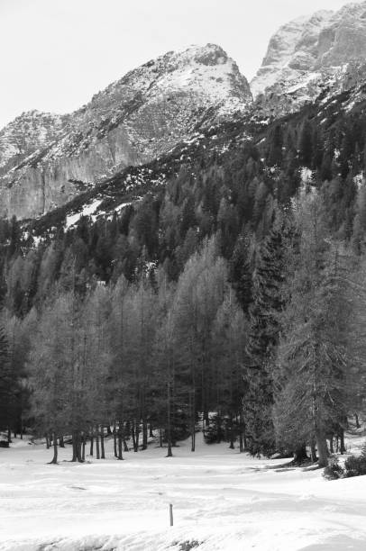 istock Lake of Misurina 2097023660