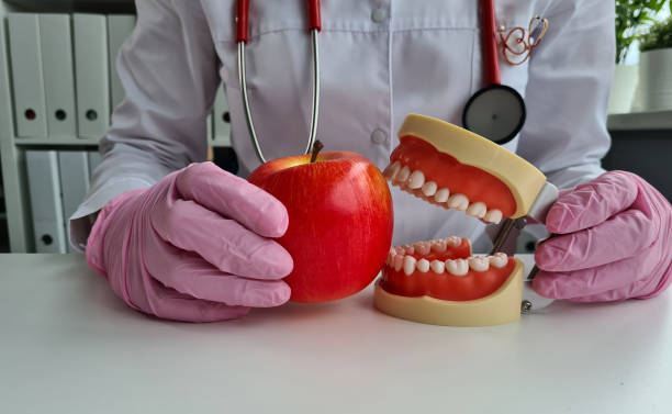istock Dentist doctor holds artificial jaw and red apple closeup 2097025864