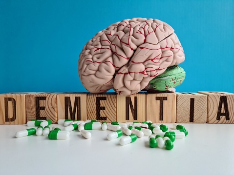 A wooden block is shown with a brain resting on top of it, creating a symbolic representation of intelligence and knowledge. The brain appears to be carefully balanced on the block, showcasing a concept of thought and learning.