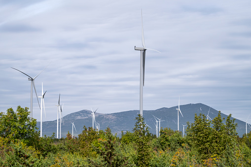 Wind turbines on a wind farm in Dalmatia, Croatia.