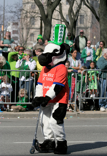 Indianapolis, IN, USA-March 17,2009:Unidentified Person in Chick-fil-a Cow Costume riding a Scooter Greets People at St Patrick Day Parade