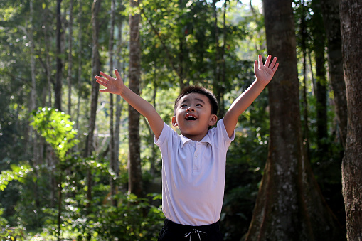 An Asian preschool age boy is raising his arms screaming in nature reserve forest