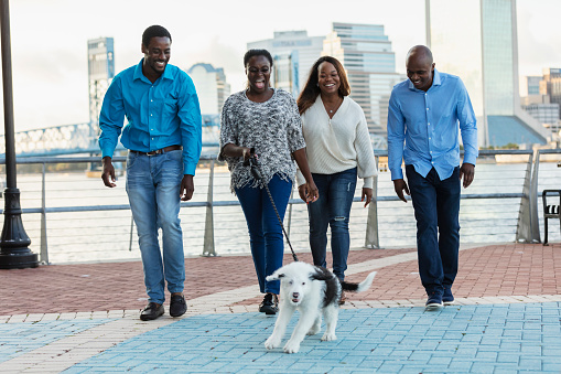 A group of four African-American friends, two couples, walking a puppy on a city waterfront. The man on the left is in his 30s, and the others are in their 40s.