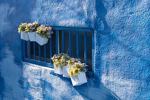 flowerpots on the blue wall of old house.