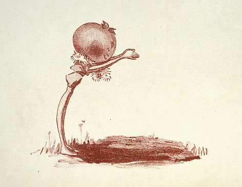 Vintage illustration Caricature of a magical tomato man, The Vege-men's revenge, children's book illustration, Florence K Upton, 1890s
