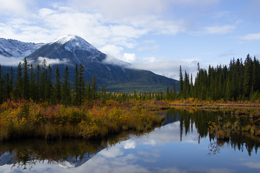 Beautiful aerial view of the Vermilion Lakes and Sulphur Mountain full of pine trees, in autumn on a cloudy day near Banff, Canada.