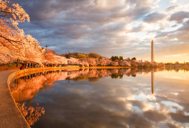 Photo taken in Washington, D. C., United States