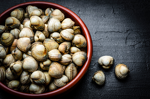 Freshly picked raw clams in a bowl shot on gray background