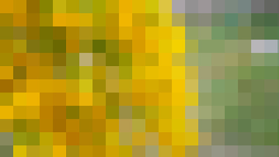 yellow gray green background with squares two thirds yellow squares of different shades and one third gray green squares