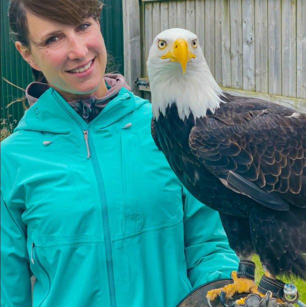 istock PORTRAIT: Tourist posing with a beautiful rescued bald eagle at falconry center 2097294049