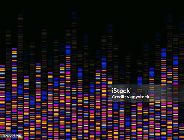 Dna Test Infographic Dna Test Barcoding Genome Map Graphic Concept For ...
