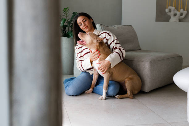 istock Special moments with a pet 2097316292