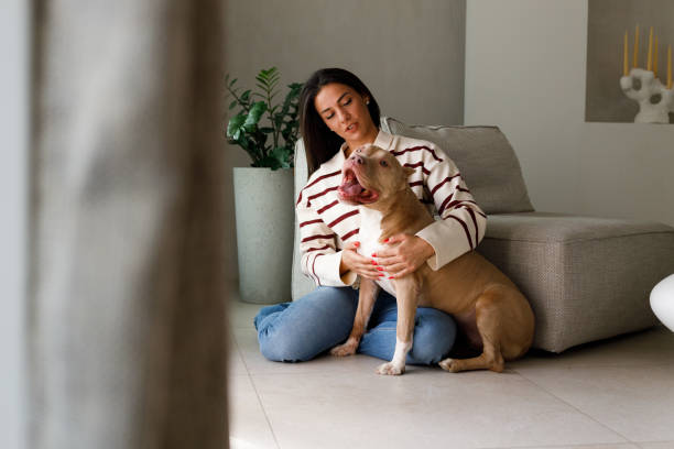 istock Special moments with a pet 2097318359