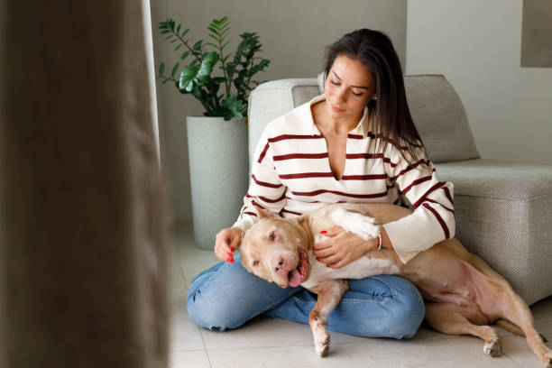 istock Special moments with a pet 2097318360