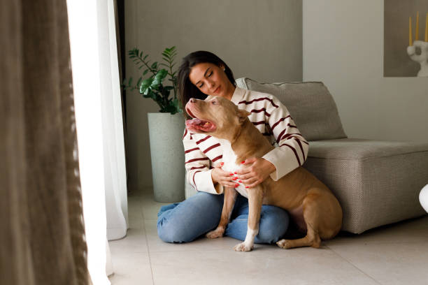 istock Special moments with a pet 2097318362