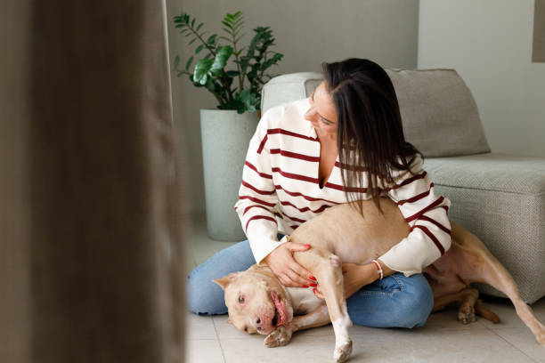 istock Special moments with a pet 2097318363