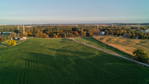 istock Soybean field on a farm 2097335578