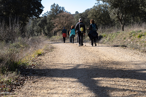 A group of people walk along a dendero with a determined step. Their animated conversation and laughter is noticeable, creating an atmosphere of camaraderie. They dress casually and carry backpacks and bags, showing that they are enjoying a stroll together.