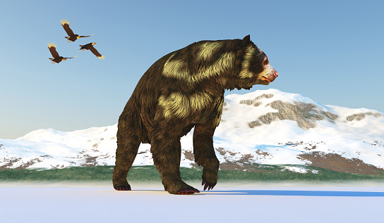 Arctodus was an omnivorous short-faced bear that lived in North America during the Pleistocene Period.