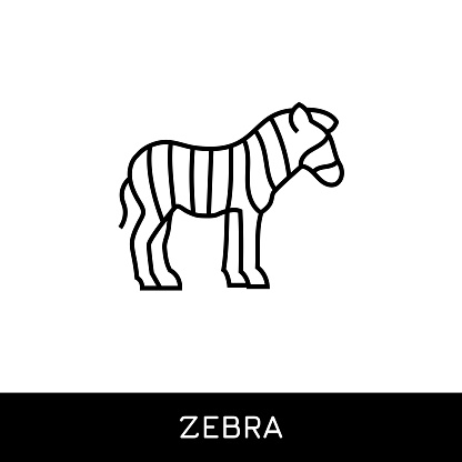 Zebra Editable Stroke Single Line Icon Design. Pixel Perfect Vector Icon. Perfect icons for mobile and web