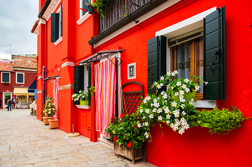Burano, Italy - October, 6 2019: Bright traditional red house on Burano island, Venice, Italy. Colorful curtain on door, wooden old style windows with shutters and Mandevilla flowers on window sills.