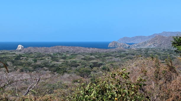 istock Playa Naranjo beach in Santa Rosa National Park 2097531811