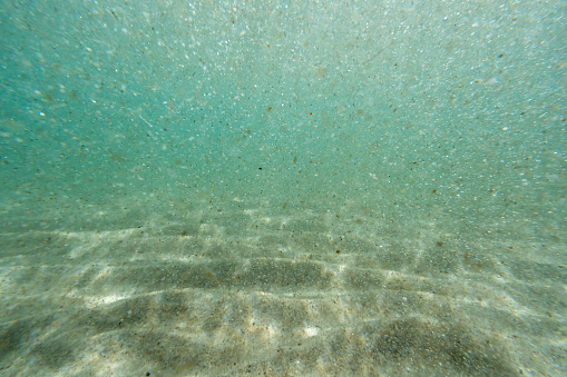 Underwater sand particles floating, sunny