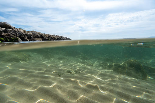 Underwater split photography